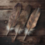 Three feathers on a wooden board