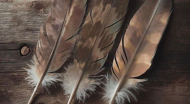 Three feathers.jpg